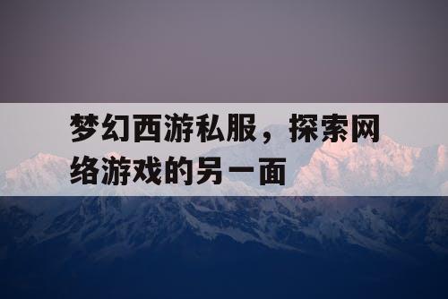 梦幻西游私服，探索网络游戏的另一面