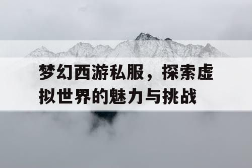 梦幻西游私服	，探索虚拟世界的魅力与挑战