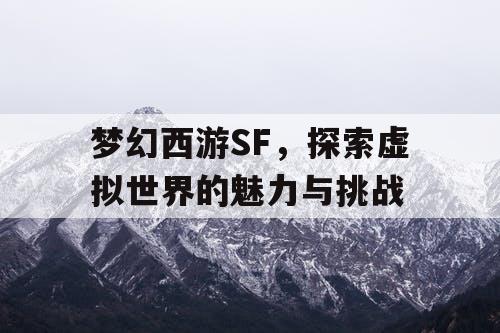 梦幻西游SF	，探索虚拟世界的魅力与挑战