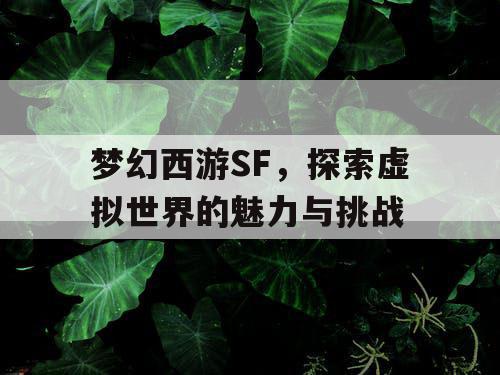 梦幻西游SF，探索虚拟世界的魅力与挑战