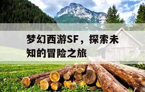 梦幻西游SF	，探索未知的冒险之旅