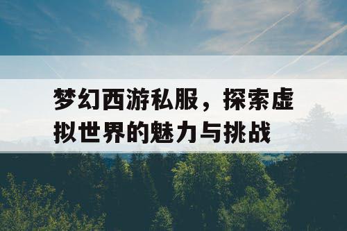 梦幻西游私服，探索虚拟世界的魅力与挑战