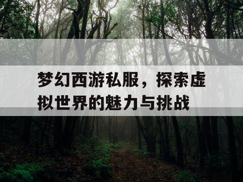 梦幻西游私服，探索虚拟世界的魅力与挑战