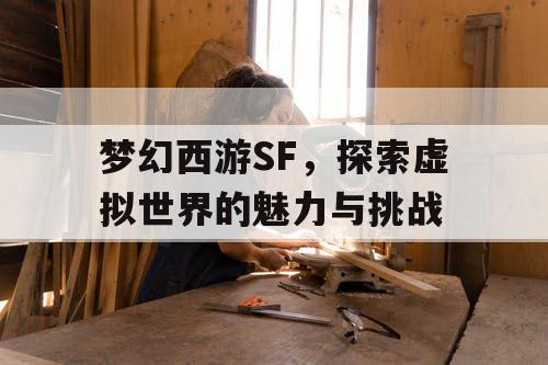 梦幻西游SF	，探索虚拟世界的魅力与挑战