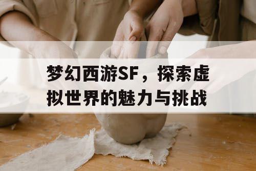 梦幻西游SF，探索虚拟世界的魅力与挑战