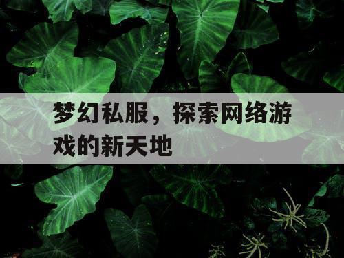 梦幻私服	，探索网络游戏的新天地