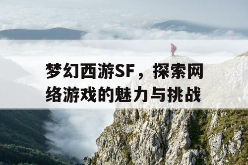 梦幻西游SF，探索网络游戏的魅力与挑战