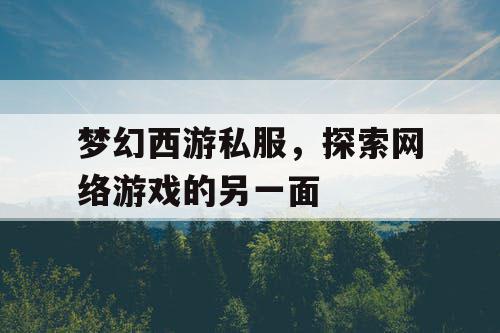 梦幻西游私服，探索网络游戏的另一面