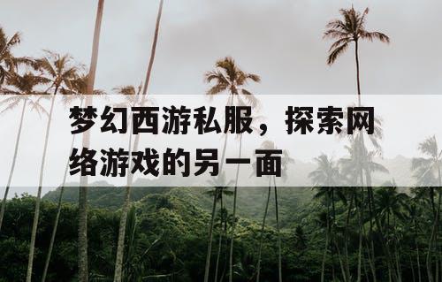 梦幻西游私服，探索网络游戏的另一面