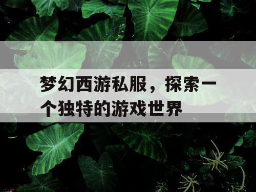 梦幻西游私服	，探索一个独特的游戏世界