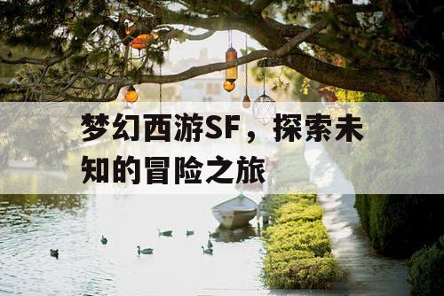 梦幻西游SF，探索未知的冒险之旅