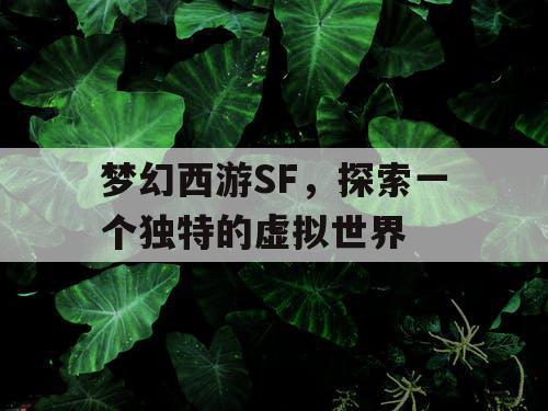 梦幻西游SF，探索一个独特的虚拟世界