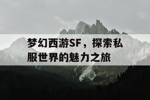 梦幻西游SF，探索私服世界的魅力之旅