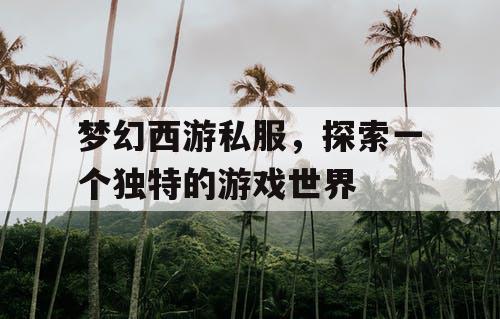 梦幻西游私服，探索一个独特的游戏世界