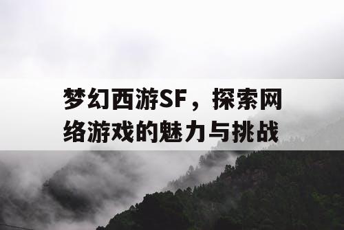 梦幻西游SF，探索网络游戏的魅力与挑战