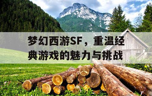 梦幻西游SF，重温经典游戏的魅力与挑战