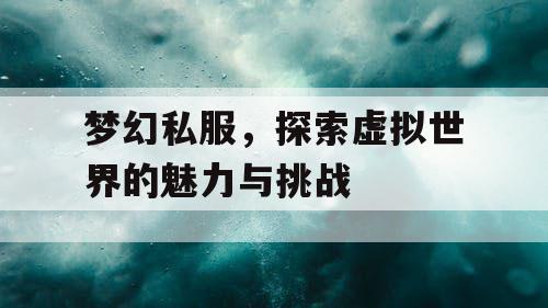 梦幻私服	，探索虚拟世界的魅力与挑战