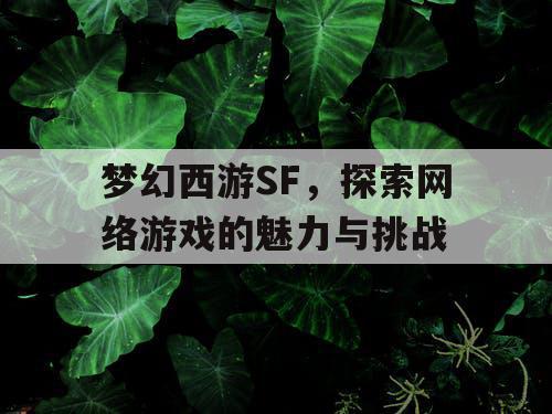 梦幻西游SF	，探索网络游戏的魅力与挑战