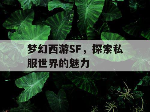 梦幻西游SF，探索私服世界的魅力