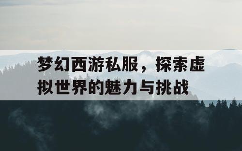 梦幻西游私服，探索虚拟世界的魅力与挑战