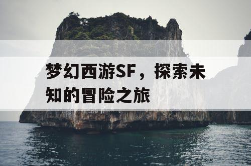 梦幻西游SF	，探索未知的冒险之旅