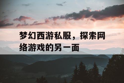 梦幻西游私服，探索网络游戏的另一面