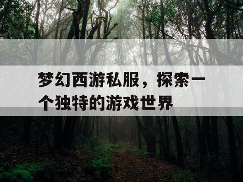 梦幻西游私服	，探索一个独特的游戏世界