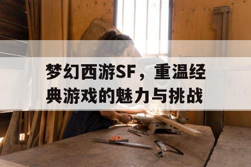 梦幻西游SF，重温经典游戏的魅力与挑战