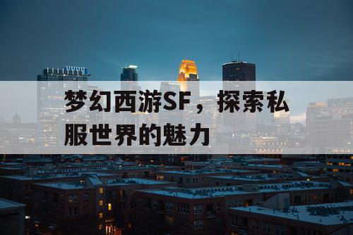 梦幻西游SF，探索私服世界的魅力