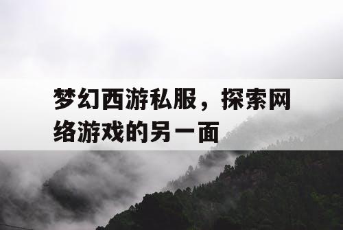 梦幻西游私服，探索网络游戏的另一面