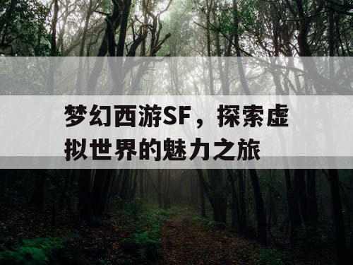 梦幻西游SF，探索虚拟世界的魅力之旅