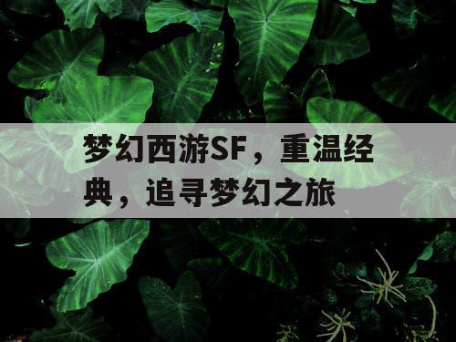 梦幻西游SF，重温经典	，追寻梦幻之旅