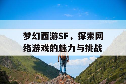 梦幻西游SF，探索网络游戏的魅力与挑战