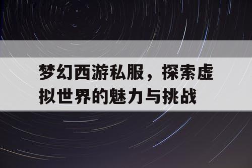 梦幻西游私服，探索虚拟世界的魅力与挑战