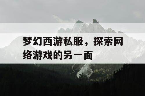 梦幻西游私服，探索网络游戏的另一面