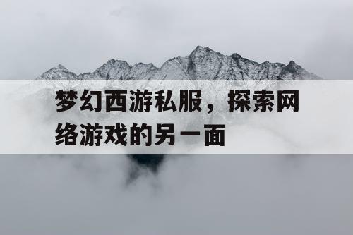 梦幻西游私服	，探索网络游戏的另一面