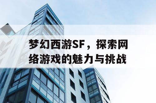 梦幻西游SF	，探索网络游戏的魅力与挑战