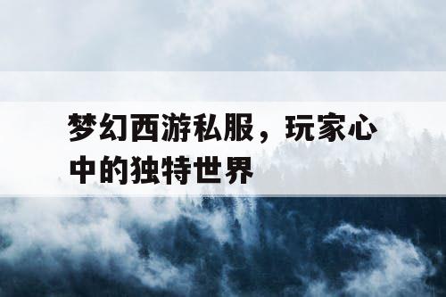 梦幻西游私服，玩家心中的独特世界