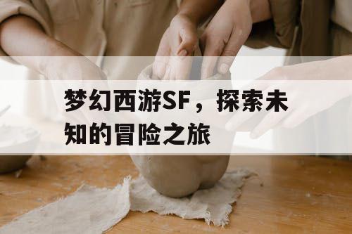 梦幻西游SF，探索未知的冒险之旅