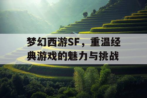 梦幻西游SF，重温经典游戏的魅力与挑战