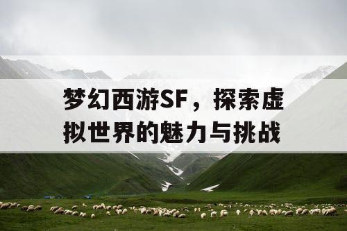 梦幻西游SF	，探索虚拟世界的魅力与挑战