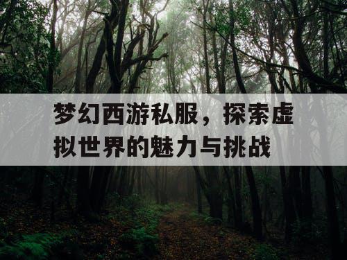 梦幻西游私服，探索虚拟世界的魅力与挑战