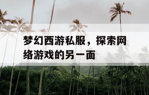 梦幻西游私服	，探索网络游戏的另一面