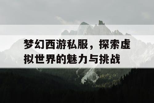 梦幻西游私服	，探索虚拟世界的魅力与挑战