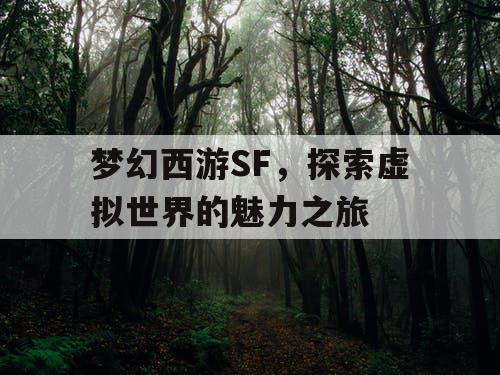 梦幻西游SF，探索虚拟世界的魅力之旅