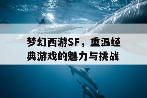 梦幻西游SF，重温经典游戏的魅力与挑战