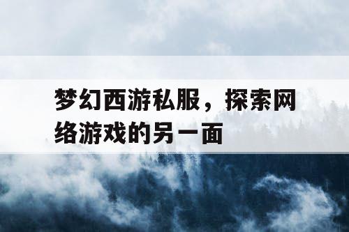 梦幻西游私服	，探索网络游戏的另一面