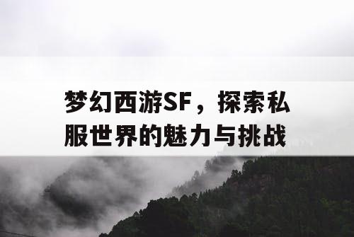 梦幻西游SF，探索私服世界的魅力与挑战