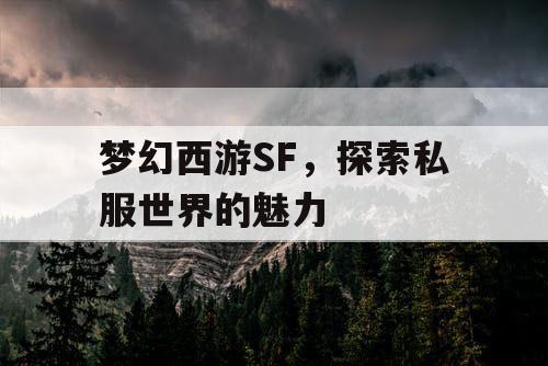 梦幻西游SF	，探索私服世界的魅力