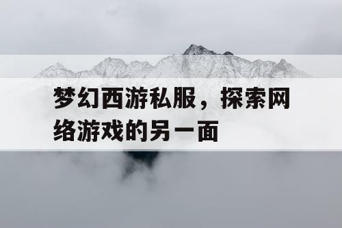 梦幻西游私服	，探索网络游戏的另一面